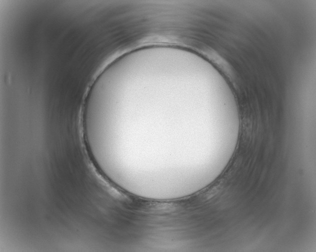 X0000074231382200609222022