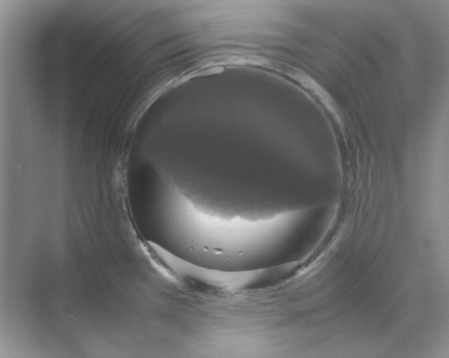 X0000074231385200609222022