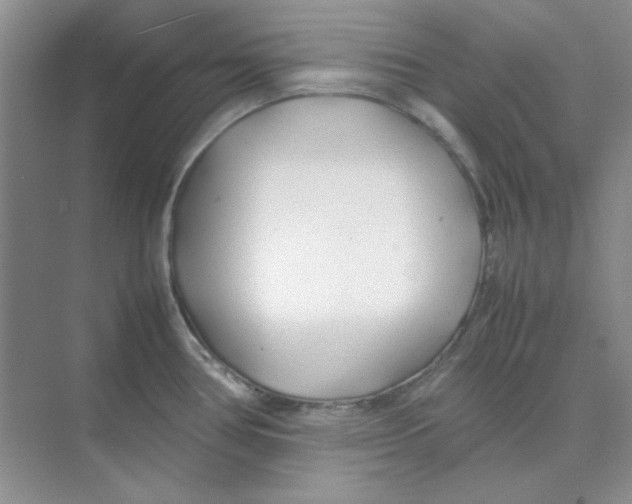 X0000074231386200609222022