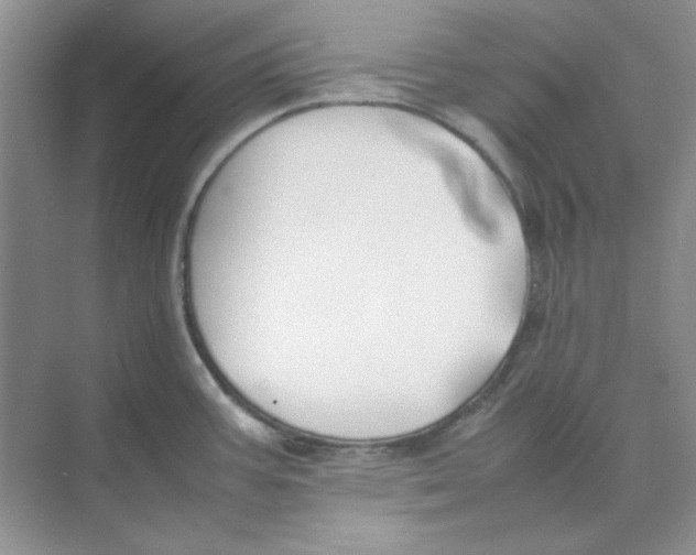 X0000074231387200609222022