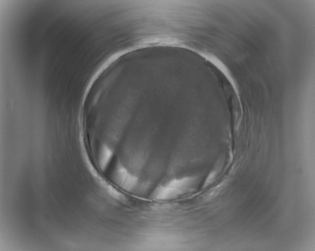 X0000074231389200609222022