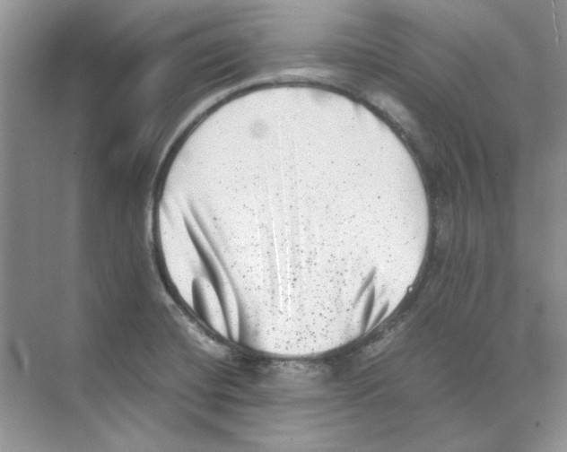 X0000074231420200609222021