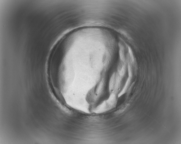 X0000074231422200609222021