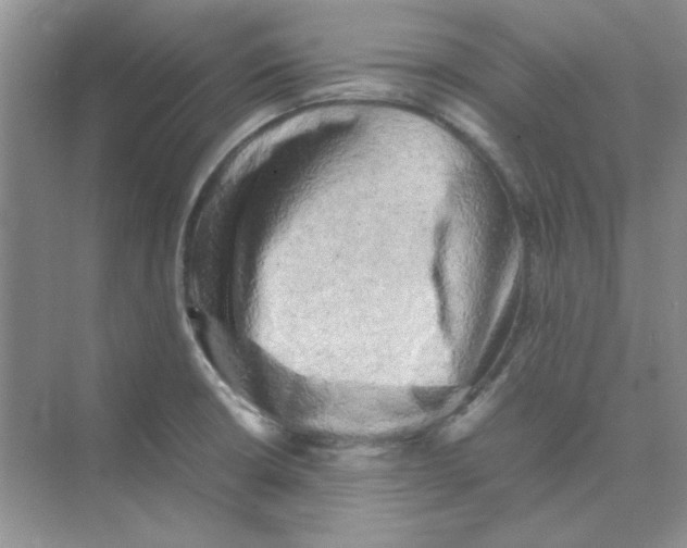 X0000074231426200609222021