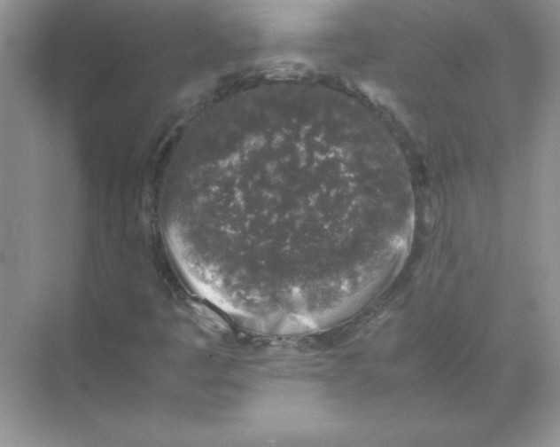 X0000074231445200609222021