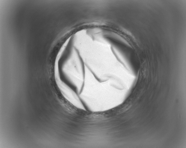 X0000074231448200609222021