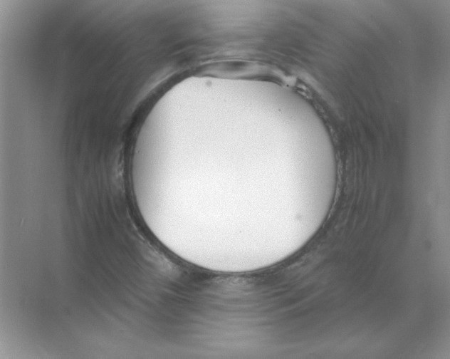 X0000074231450200609222021