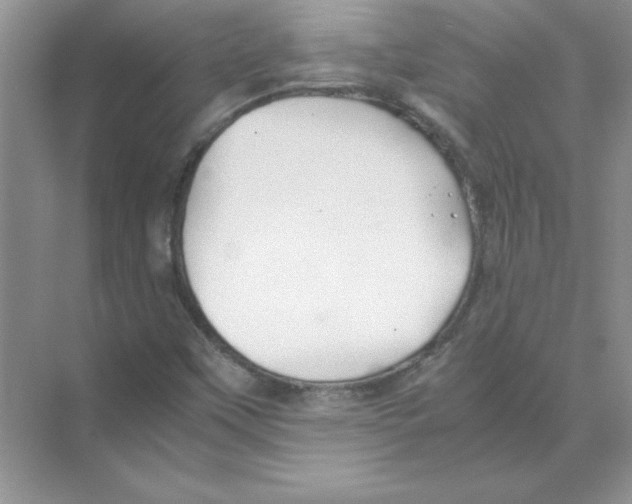 X0000074231451200609222021
