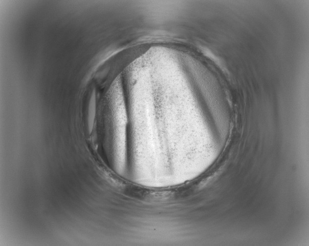 X0000074231453200609222021