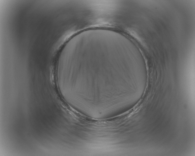 X0000074231455200609222021