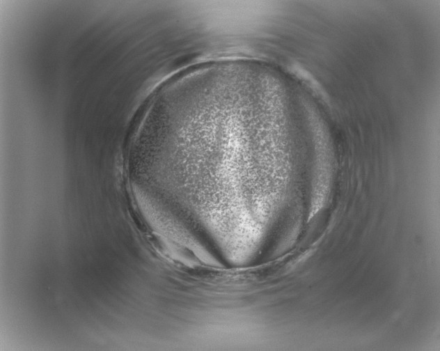 X0000074231457200609222021