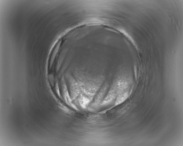 X0000074231477200609222020