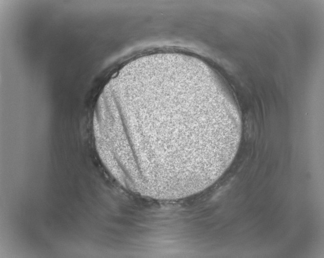X0000074231494200609222019