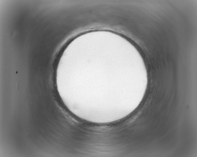 X0000074231502200609222019