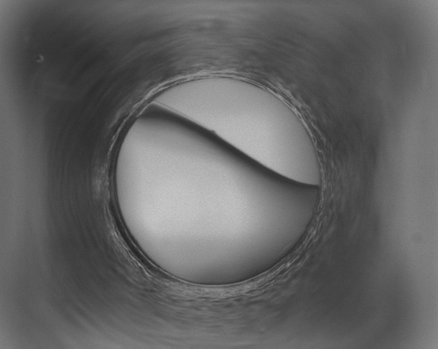X0000074240002200608250854