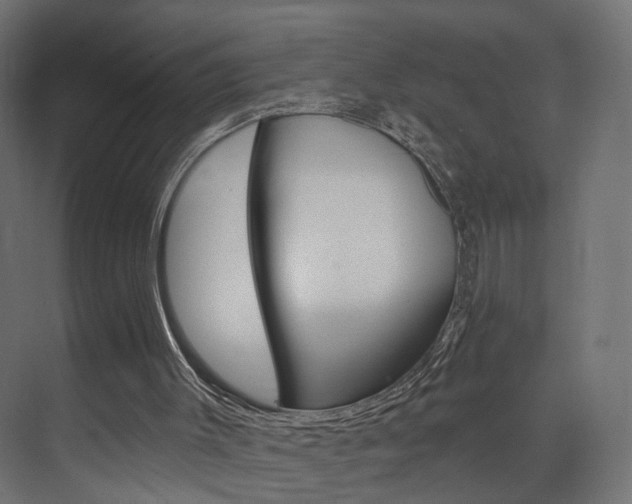 X0000074240003200608250854