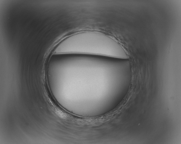 X0000074240005200608250854