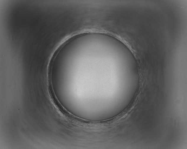 X0000074240008200608250854