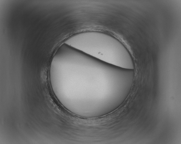 X0000074240010200608250854