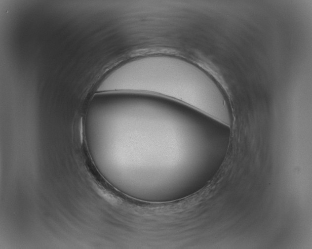 X0000074240013200608250854
