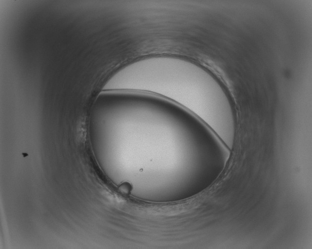 X0000074240017200608250854