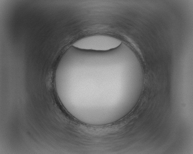 X0000074240018200608250854