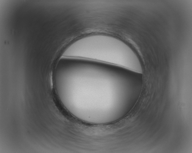X0000074240020200608250854