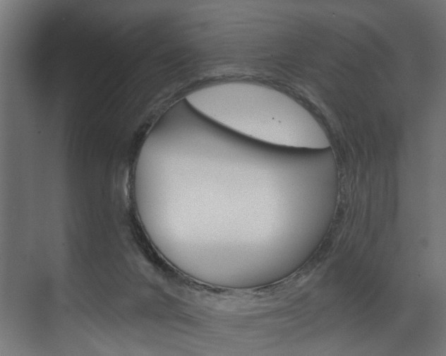 X0000074240024200608250854