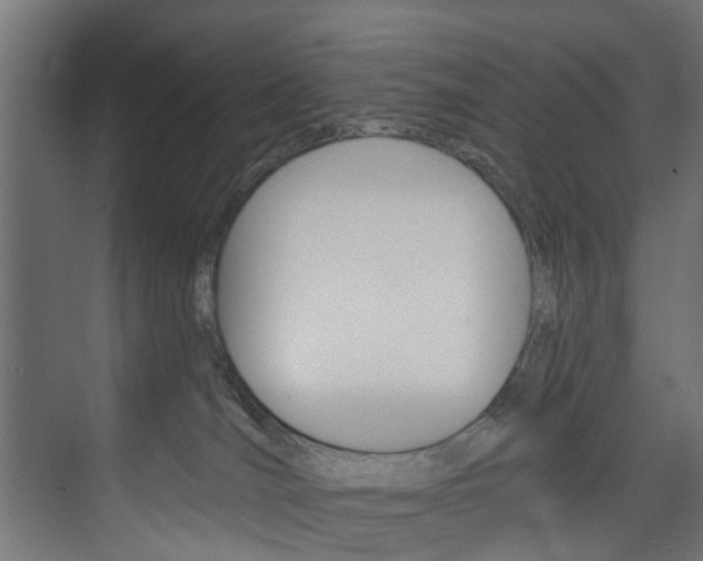 X0000074240036200608250853