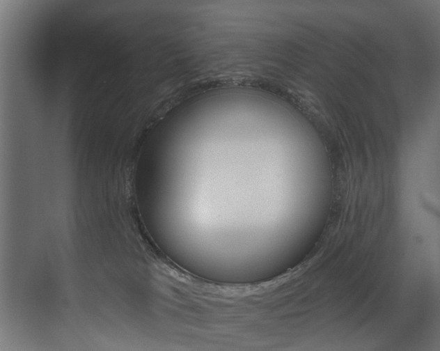 X0000074240037200608250853