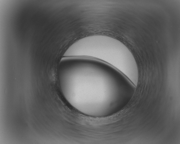X0000074240039200608250853