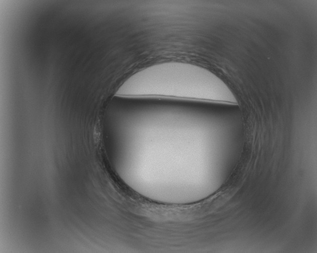 X0000074240040200608250853
