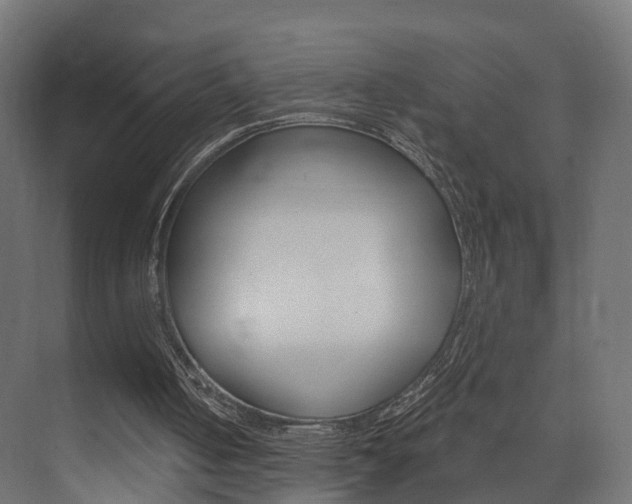 X0000074240050200608250852