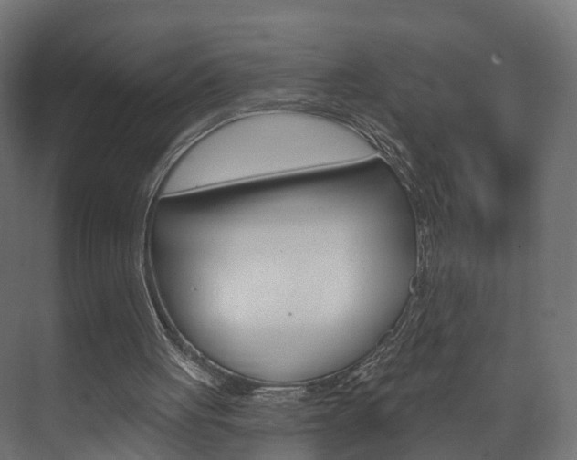 X0000074240051200608250852