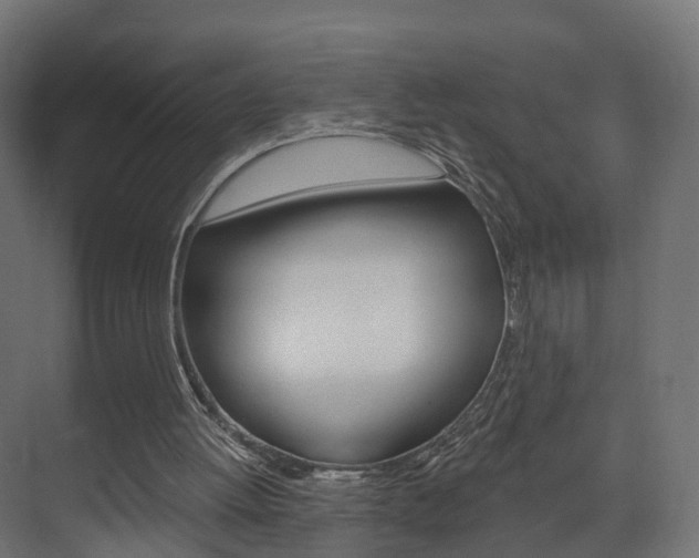 X0000074240052200608250852