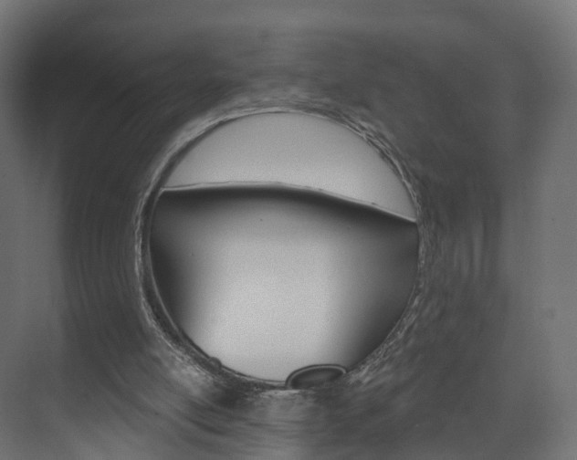 X0000074240054200608250852