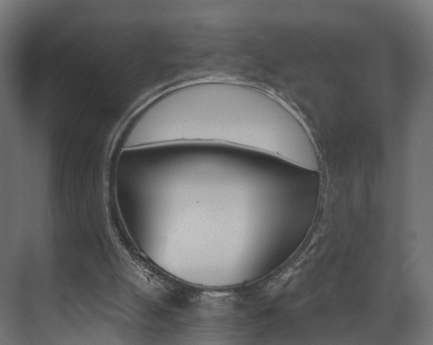 X0000074240055200608250852