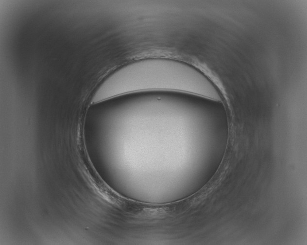 X0000074240057200608250852