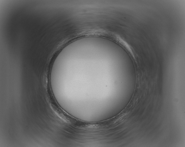 X0000074240059200608250852