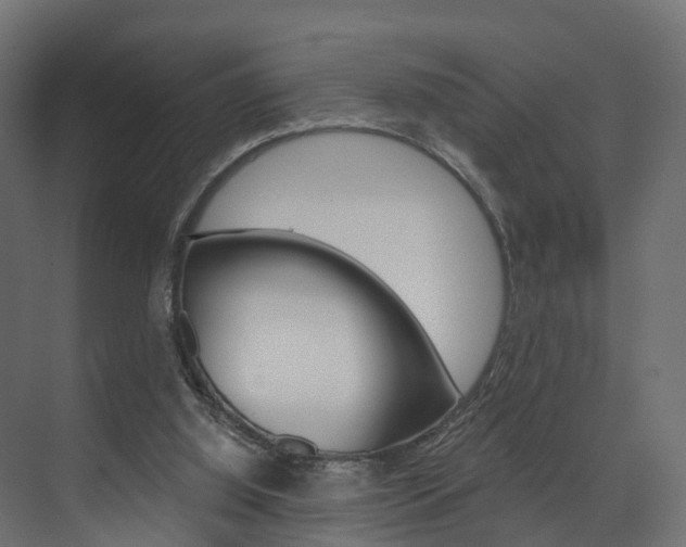 X0000074240060200608250853