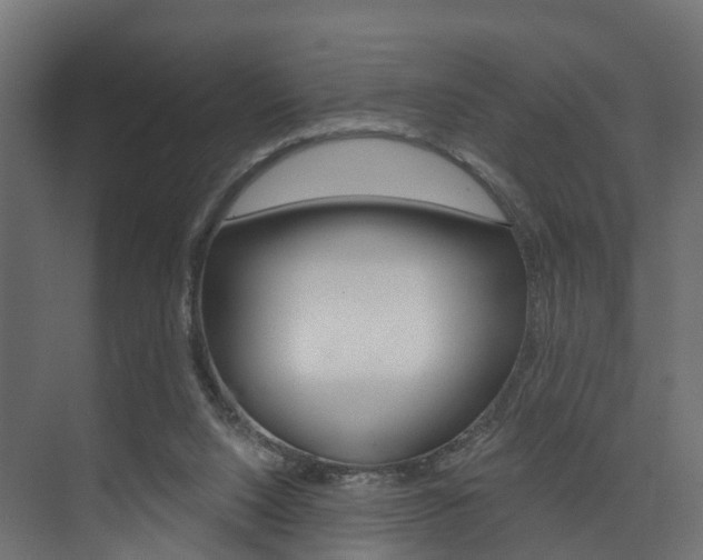 X0000074240064200608250853