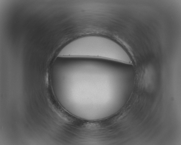 X0000074240067200608250853