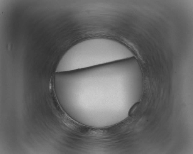 X0000074240069200608250853