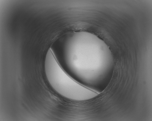 X0000074240076200608250853
