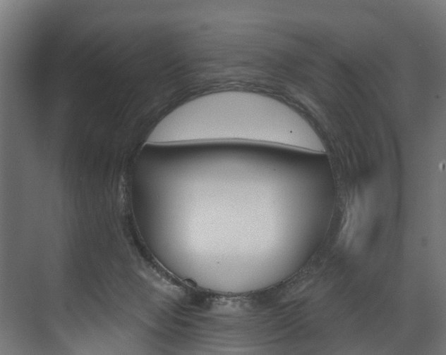 X0000074240077200608250853