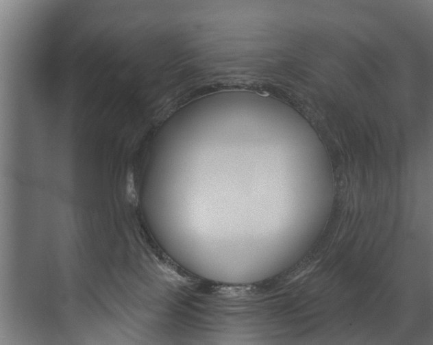 X0000074240089200608250853