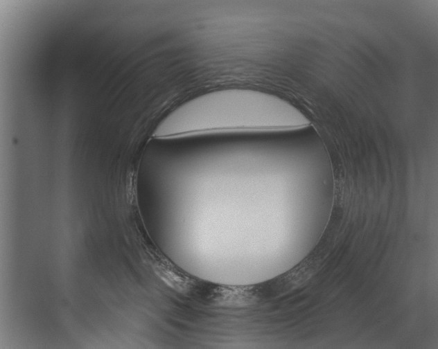 X0000074240093200608250853