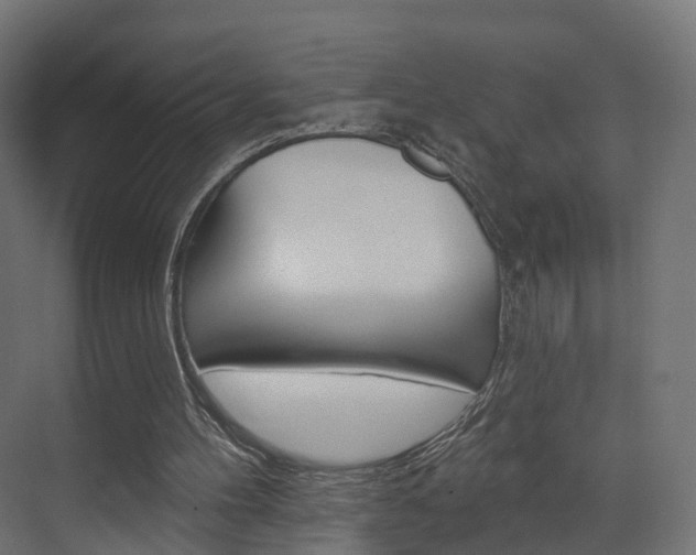 X0000074240100200608250852