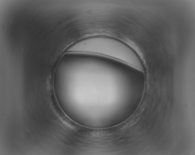 X0000074240105200608250852