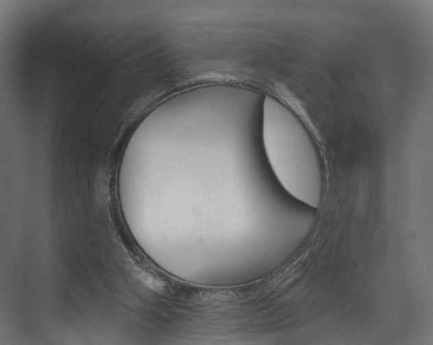 X0000074240106200608250852
